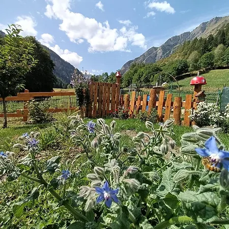 Guest house La Barma