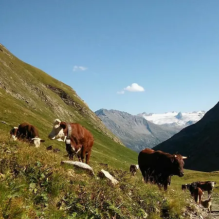 Affittacamere La Barma