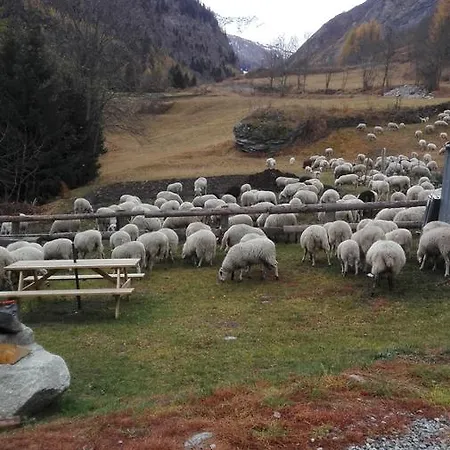 Гостевой дом La Barma *