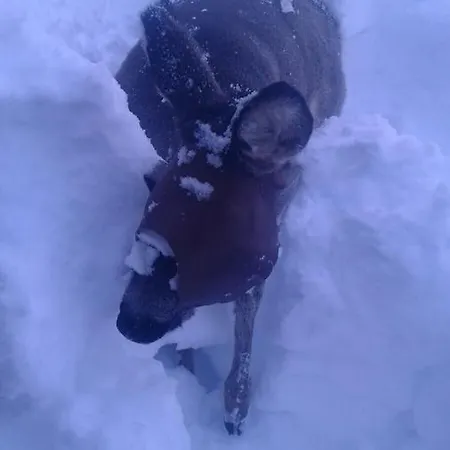 La Barma Гостевой дом *