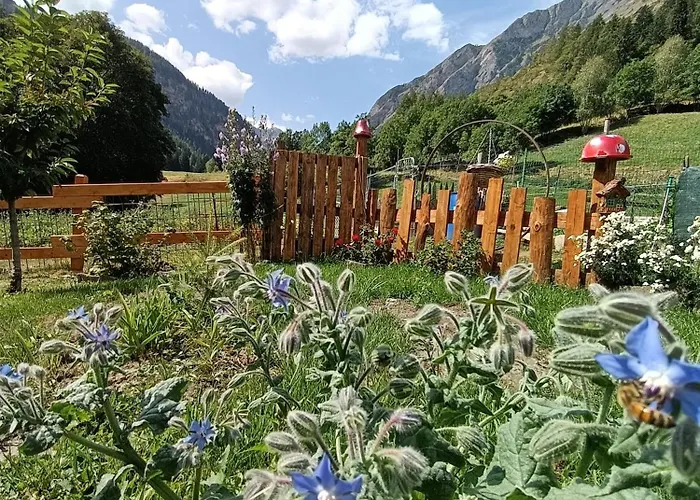 Maison d'hôtes La Barma