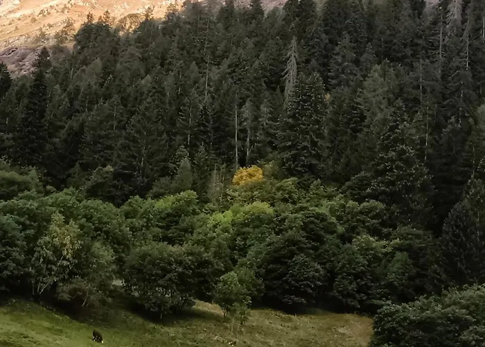 Maison d'hôtes La Barma 3*