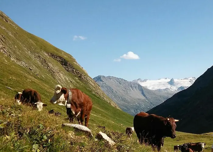 Affittacamere La Barma