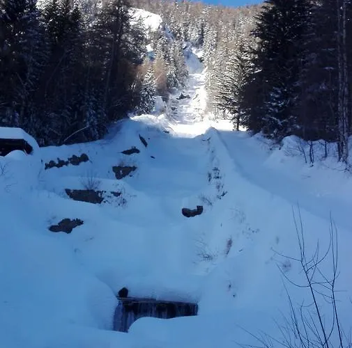 Guest house La Barma 3*