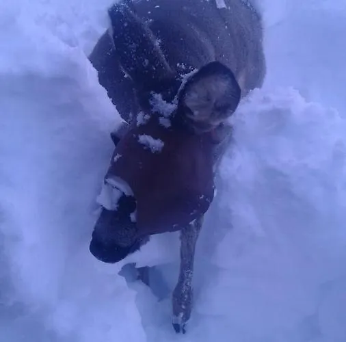 La Barma Affittacamere 3*